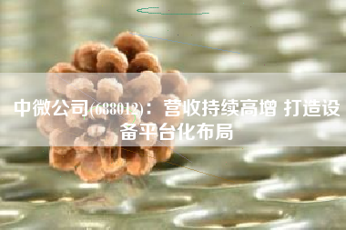 中微公司(688012)：营收持续高增 打造设备平台化布局