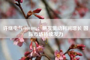 许继电气(000400)：研发驱动利润增长 国际市场持续发力