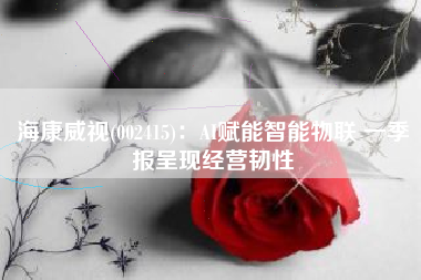 海康威视(002415)：AI赋能智能物联 一季报呈现经营韧性