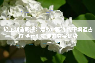 轻工制造周报：爆款IP驱动 线下渠道占位 全产业链能力夯实优势