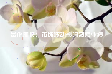 量化周报：市场波动影响超额业绩