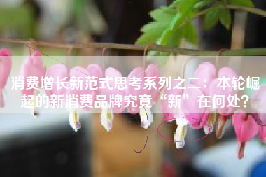 消费增长新范式思考系列之二：本轮崛起的新消费品牌究竟“新”在何处？