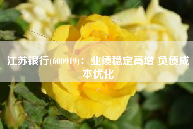 江苏银行(600919)：业绩稳定高增 负债成本优化