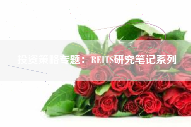 投资策略专题：REITS研究笔记系列