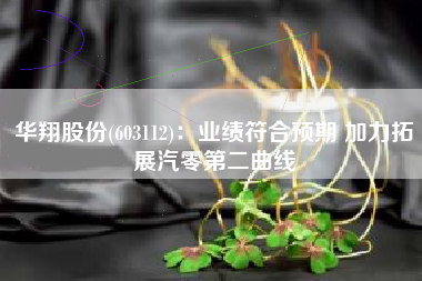 华翔股份(603112)：业绩符合预期 加力拓展汽零第二曲线