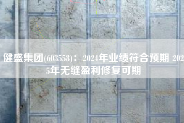 健盛集团(603558)：2024年业绩符合预期 2025年无缝盈利修复可期