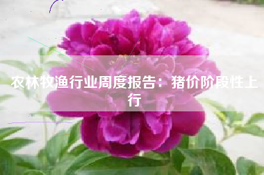 农林牧渔行业周度报告：猪价阶段性上行