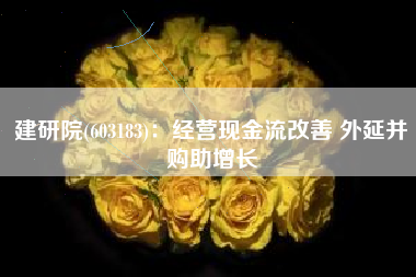 建研院(603183)：经营现金流改善 外延并购助增长
