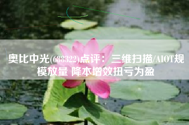奥比中光(688322)点评：三维扫描/AIOT规模放量 降本增效扭亏为盈