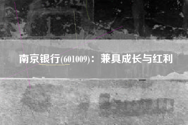 南京银行(601009)：兼具成长与红利