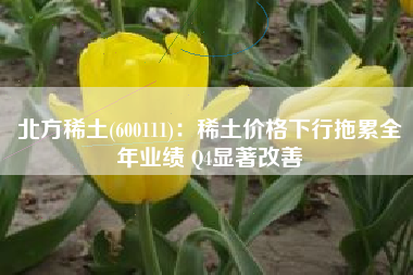 北方稀土(600111)：稀土价格下行拖累全年业绩 Q4显著改善