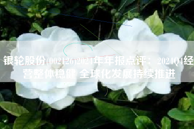 银轮股份(002126)2024年年报点评：2024Q4经营整体稳健 全球化发展持续推进