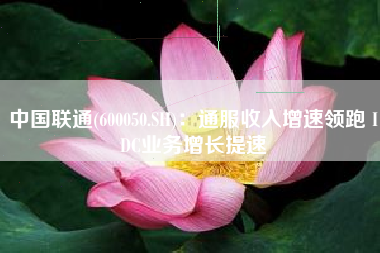 中国联通(600050.SH)：通服收入增速领跑 IDC业务增长提速