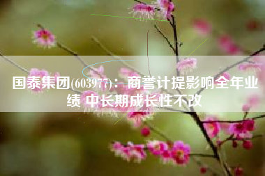 国泰集团(603977)：商誉计提影响全年业绩 中长期成长性不改