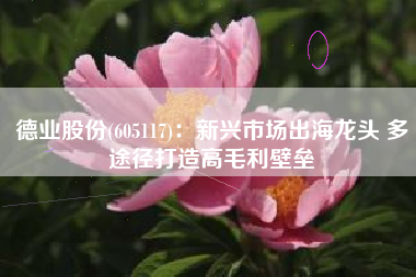 德业股份(605117)：新兴市场出海龙头 多途径打造高毛利壁垒