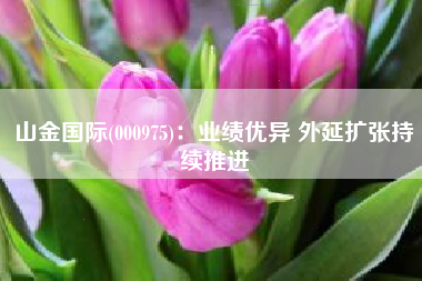 山金国际(000975)：业绩优异 外延扩张持续推进