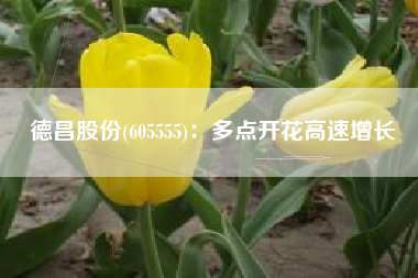 德昌股份(605555)：多点开花高速增长