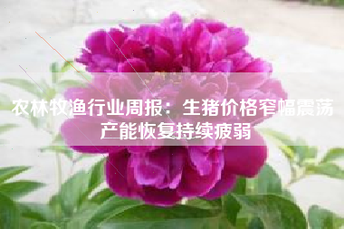 农林牧渔行业周报：生猪价格窄幅震荡 产能恢复持续疲弱