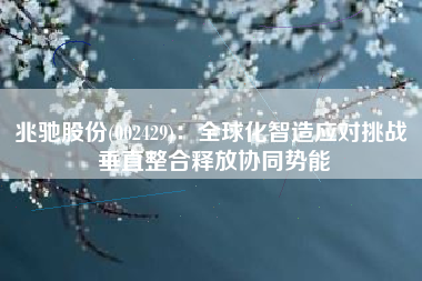 兆驰股份(002429)：全球化智造应对挑战 垂直整合释放协同势能