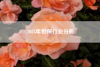 2025年担保行业分析
