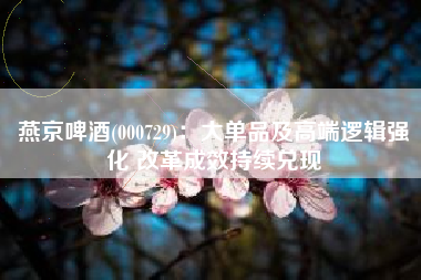 燕京啤酒(000729)：大单品及高端逻辑强化 改革成效持续兑现
