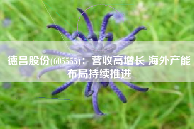 德昌股份(605555)：营收高增长 海外产能布局持续推进