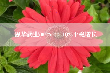 恩华药业(002262)：1Q25平稳增长