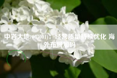 中岩大地(003001)：经营质量持续优化 海外布局加码