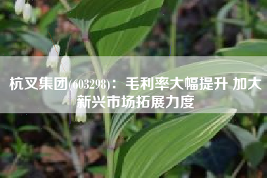 杭叉集团(603298)：毛利率大幅提升 加大新兴市场拓展力度