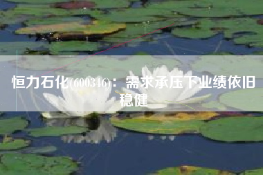 恒力石化(600346)：需求承压下业绩依旧稳健