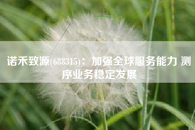 诺禾致源(688315)：加强全球服务能力 测序业务稳定发展