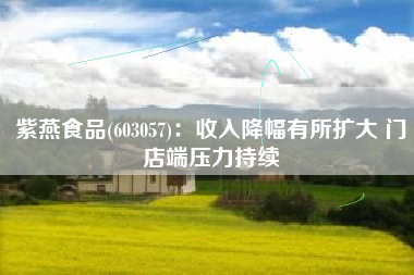 紫燕食品(603057)：收入降幅有所扩大 门店端压力持续