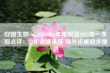 安图生物(603658)2024年年报及2025年一季报点评：24年业绩承压 海外拓展稳步推进