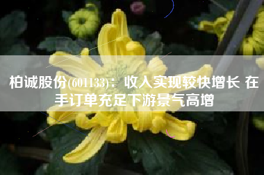 柏诚股份(601133)：收入实现较快增长 在手订单充足下游景气高增