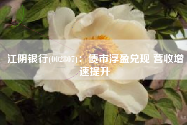 江阴银行(002807)：债市浮盈兑现 营收增速提升