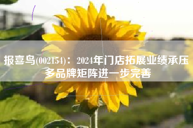 报喜鸟(002154)：2024年门店拓展业绩承压 多品牌矩阵进一步完善