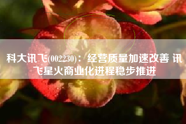 科大讯飞(002230)：经营质量加速改善 讯飞星火商业化进程稳步推进