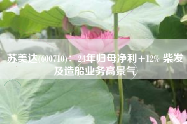 苏美达(600710)：24年归母净利+12% 柴发及造船业务高景气