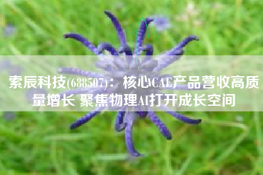 索辰科技(688507)：核心CAE产品营收高质量增长 聚焦物理AI打开成长空间