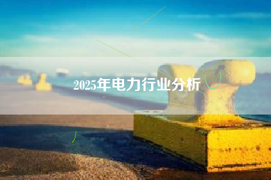 2025年电力行业分析