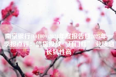 南京银行(601009)2024年度报告暨2025年一季报点评：信贷投放“开门红” 业绩增长韧性高