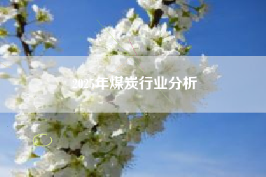 2025年煤炭行业分析