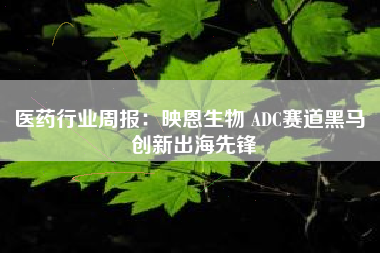 医药行业周报：映恩生物 ADC赛道黑马 创新出海先锋