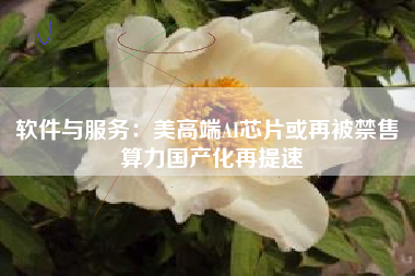 软件与服务：美高端AI芯片或再被禁售 算力国产化再提速