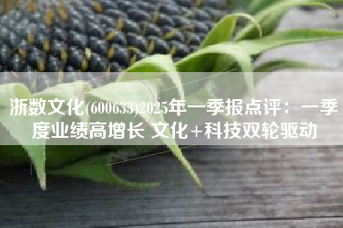 浙数文化(600633)2025年一季报点评：一季度业绩高增长 文化+科技双轮驱动