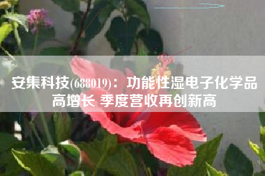 安集科技(688019)：功能性湿电子化学品高增长 季度营收再创新高