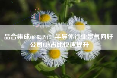 晶合集成(688249)：半导体行业景气向好 公司CIS占比快速提升