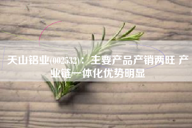 天山铝业(002532)：主要产品产销两旺 产业链一体化优势明显