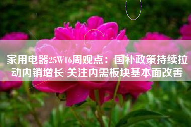 家用电器25W16周观点：国补政策持续拉动内销增长 关注内需板块基本面改善