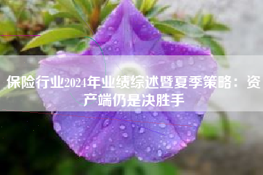 保险行业2024年业绩综述暨夏季策略：资产端仍是决胜手